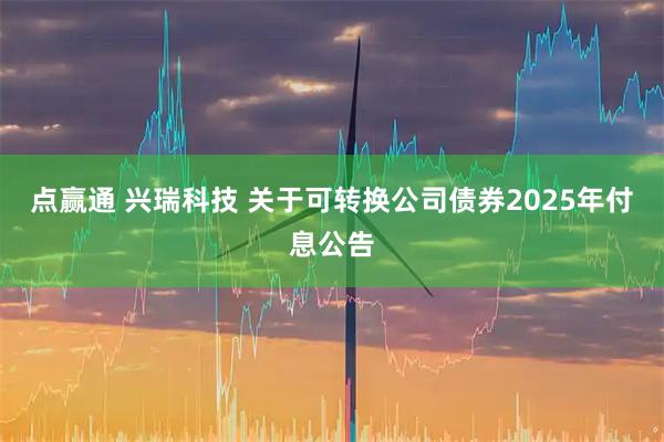 点赢通 兴瑞科技 关于可转换公司债券2025年付息公告