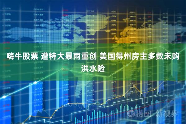 嗨牛股票 遭特大暴雨重创 美国得州房主多数未购洪水险
